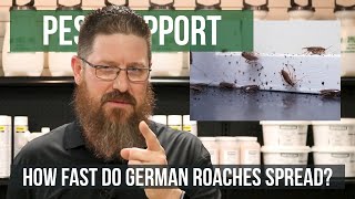 How Quickly do German Roaches Spread? | Pest Support