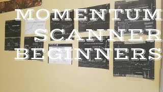 How To Set Up Stock Scanner (MOMENTUM)