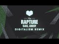 The Rapture - Sail Away (Digitalism Remix)
