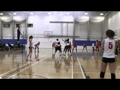 Malory Eagles (London) vs Polonia SideOut London (2014-12-06) NVL Super 8s Women