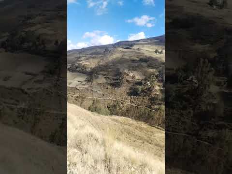 marias dos de mayo Huánuco