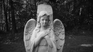 The Legendary Pink Dots -I Love You In Your Tragic Beauty-Fan Video