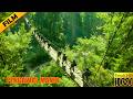 Pengawal Manis Terbaru Film Aksi Perang Subtitle Indonesia Full Movie HD