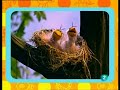 Juega Conmigo Sésamo Play With Me Sesame The Sound That S In The Air European Spanish