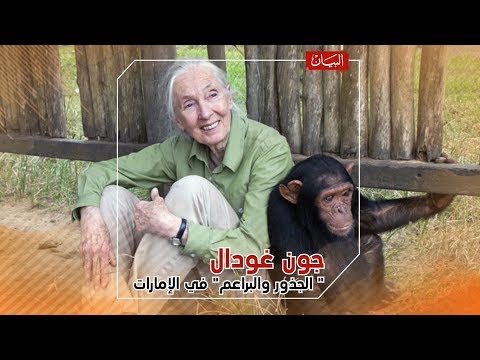 "الجذور والبراعم" في الإمارات