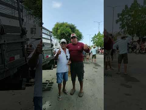 feira dos animais em Pentecoste ceará