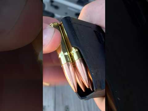 Intro/Shooting the CMMG Dissent 8.6 BLK