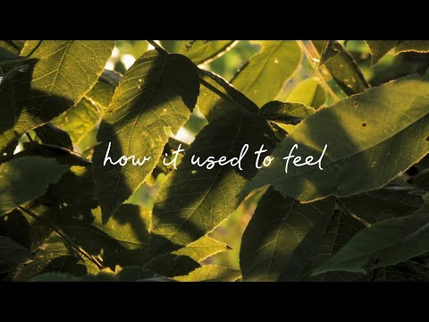 Video thumbnail for The Real Wild Ones