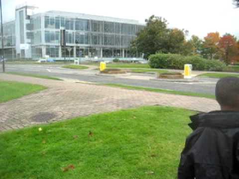 JOEL GAYLE feeding the birds