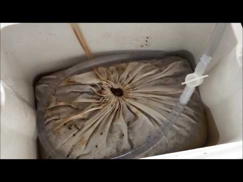 HBW 24 #48 -  Homebrewdog