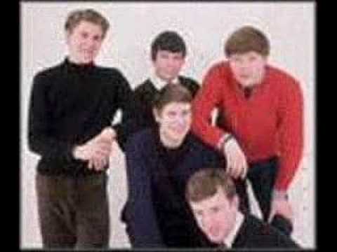 I Put a Spell On You - The Animals