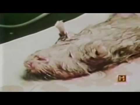 In Search Of S02E15 Immortality