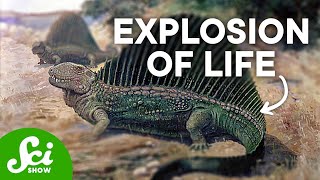 A Brief History of Life: When Life Exploded