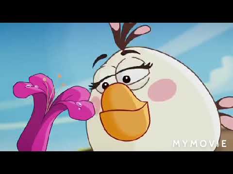 Angry birds - GARDENING with terence