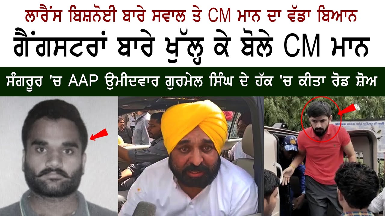 CM Bhagwant Mann Reply on Gangsters in Punjab CM Bhagwant Mann Reply on Gangsters in Punjab