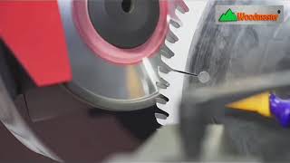 Máy mài lưỡi cưa CNC Woodmaster - mài mọi góc độ