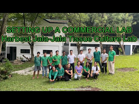 Plant Tissue Culture Lab set up / Alternative Commercial Laboratory Production PART1