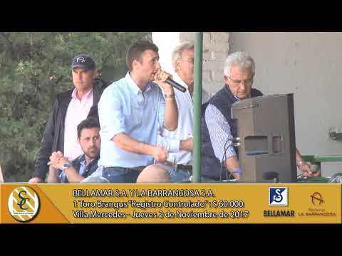 02-11-17 Venta de Toros Brangus - Bellamar S.A. y La Barrancosa S.A. - Villa Mercedes