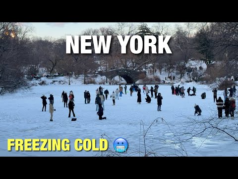 New York City LIVE FREEZING COLD 🥶 Manhattan on Sunday (February 8, 2026)