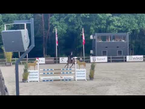 Showvideo 1