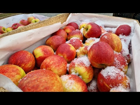 Relacja z rynku hurtowego w Broniszach – 09.03.2023