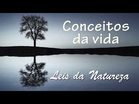 Conceitos da Vida - Ep.109 - Leis da Natureza