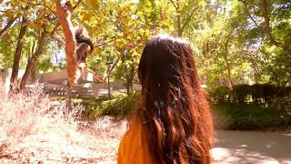 FEELINGS (Rise - Jason Mraz)