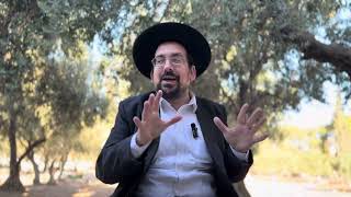 20 שנה לגירוש • רק כשישראל אחד אויביהם נופלים | הרב אליהו ובר (ישיבת הר הבית) - התמונה מוצגת ישירות מתוך אתר האינטרנט יוטיוב. זכויות היוצרים בתמונה שייכות ליוצרה. קישור קרדיט למקור התוכן נמצא בתוך דף הסרטון 20 שנה לגירוש • רק כשישראל אחד אויביהם נופלים | הרב אליהו ובר (ישיבת הר הבית) - התמונה מוצגת ישירות מתוך אתר האינטרנט יוטיוב. זכויות היוצרים בתמונה שייכות ליוצרה. קישור קרדיט למקור התוכן נמצא בתוך דף הסרטון