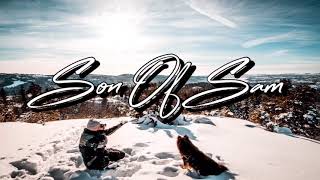 Son Of Sam || Azad Right