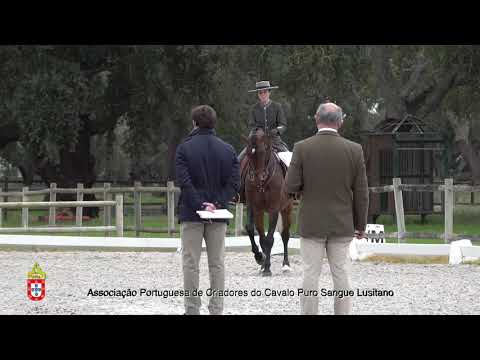 210201 11 Habil de Sena - Aprovação de Garanhões