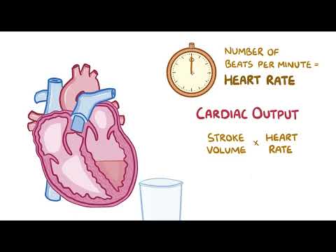 3 71  Stroke volume, ejection fraction, and cardiac output