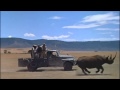 RAY CONNIFF - AFRICAN SAFARI