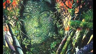 Perfect Stranger - The Medicine