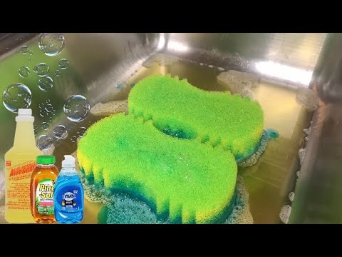 🤩 Sudsy Suds | ASMR SPONGE SQUEEZING | 🤩