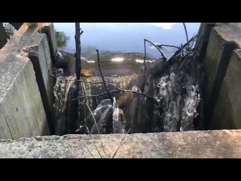 Myszków - Dotyk Jury