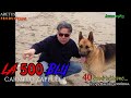 Carmelo Zappulla - La 500 Blu
