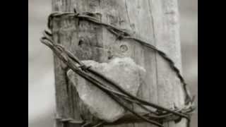 Que o amor não me engana - Zeca Afonso