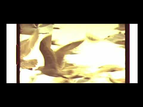 روعة الساحل العربي .