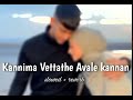 Kannima Vettathe Avale Kannan (Slowed+Reverb) - Ishq ye Laila -