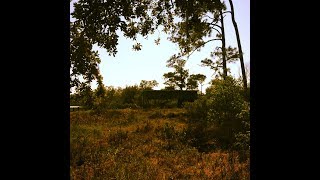 "Popol Vuh 2" FSA cover by Mzda Otrok