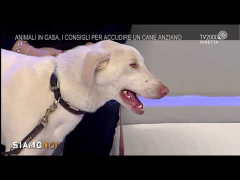 Siamo Noi - puntata del 7 dicembre 2017