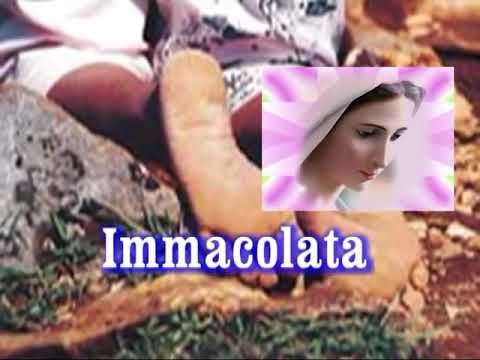 Immacolata Vergine Bella