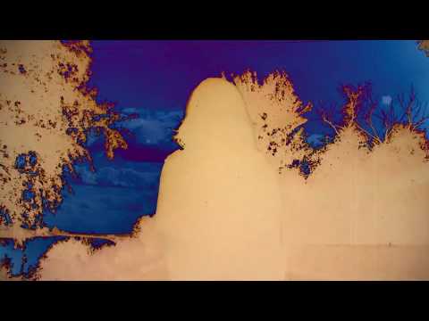 Vlad Flueraru - Plus (Varianta II prod. VF) VIDEO