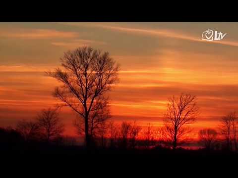 Zrnca mudrosti 1.11.2019. - Davanje i primanje