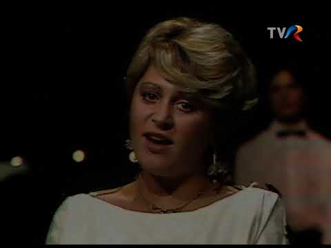 Mirabela Dauer, Ștefan Hrușcă, Vasile Șeicaru - Dimineți cu ferestre deschise