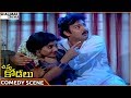 Chinna Kodalu Movie Suresh Vani Viswanath Superb Comedy Scene Suresh Shalimarcinema