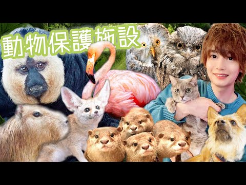 動物保護施設にはますます多くのエキゾチックな動物が増えている