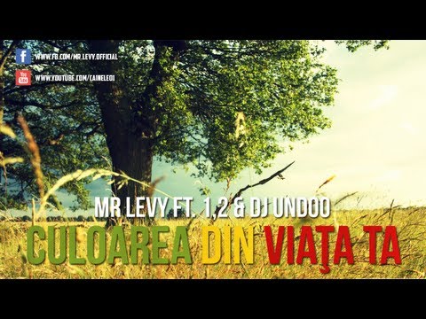 Mr.Levy - Culoarea din viata ta ( feat. 1,2 & Dj Undoo )