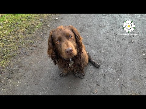 Lofthouse Colliery Heritage Trail, Wakefield. (Vlog #57)