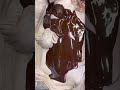 New Nutella Stracciatella Caffe Panna ONLY AT Butterfieldmarket